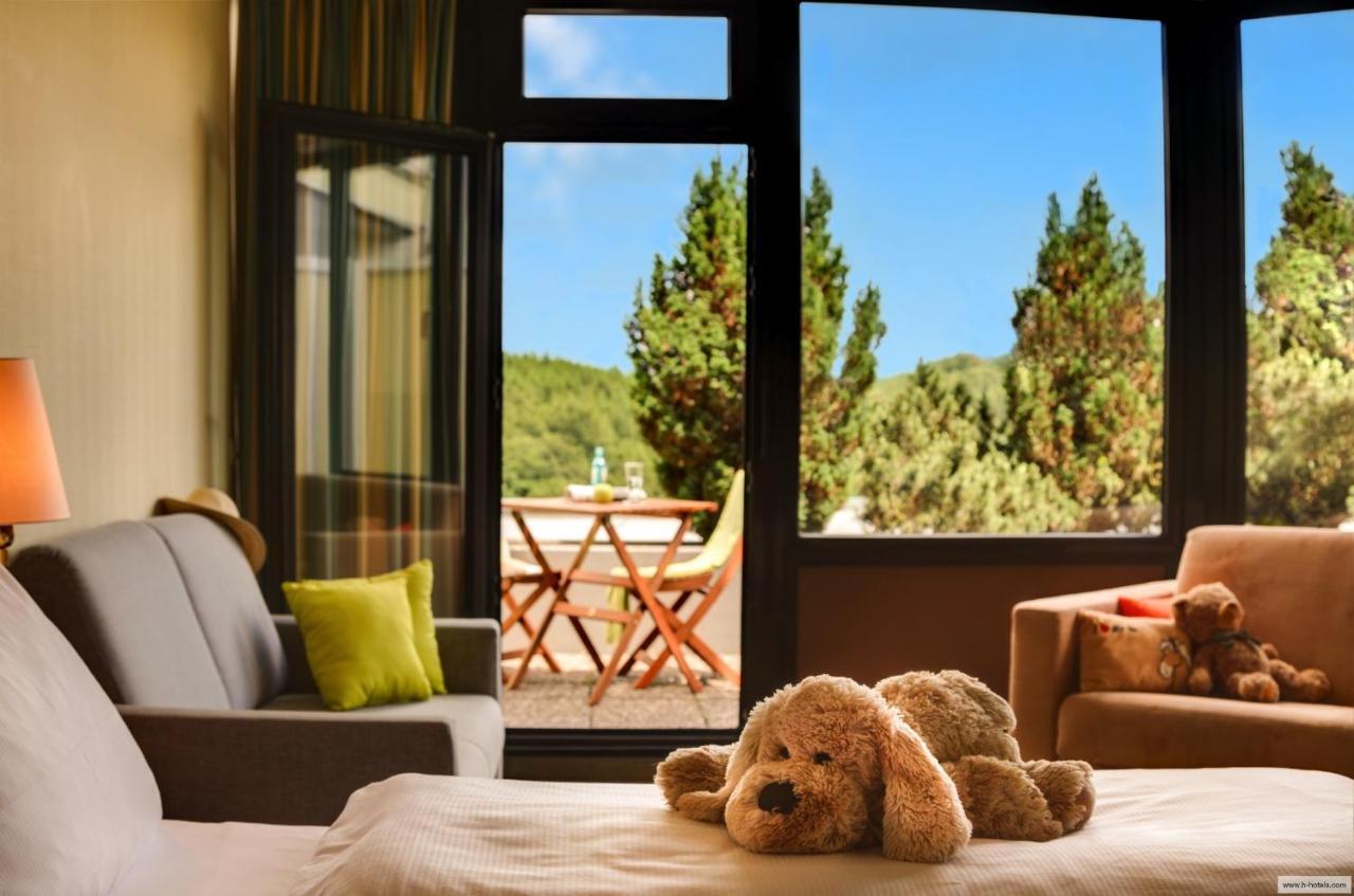 H+ Hotel Willingen Willingen  Exterior photo